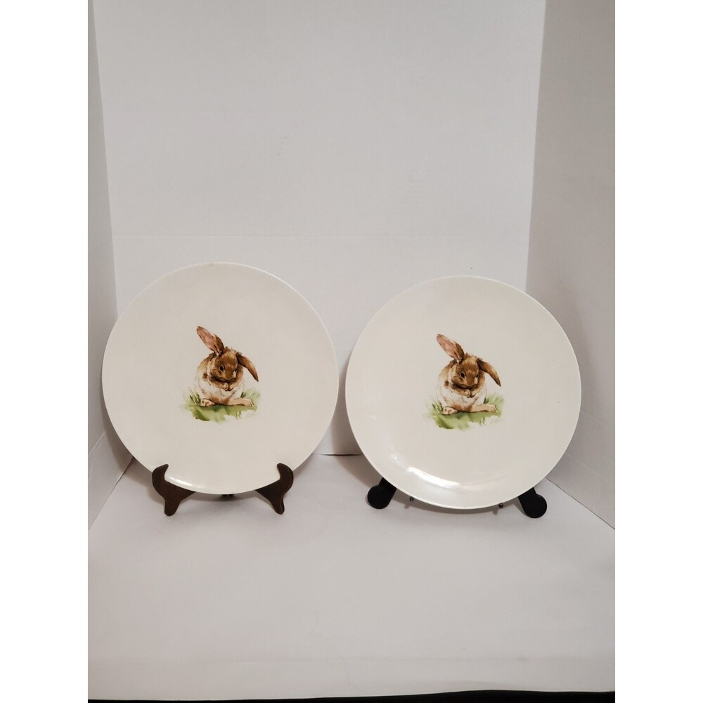 Pottery Barn Pasture Bunny Dinner Plate 2pc 10.75" Retired Easter Collection Set